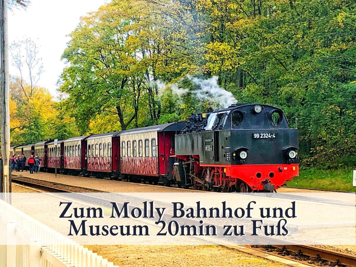 3 Zimmer App Duenengarten Fewo 58 Ostseebad Kühlungsborn Extérieur photo